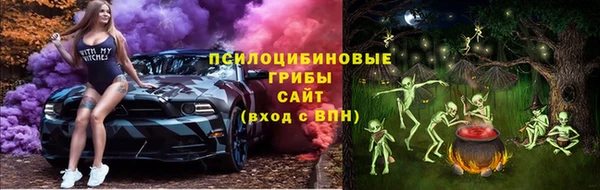 крисы Зеленокумск